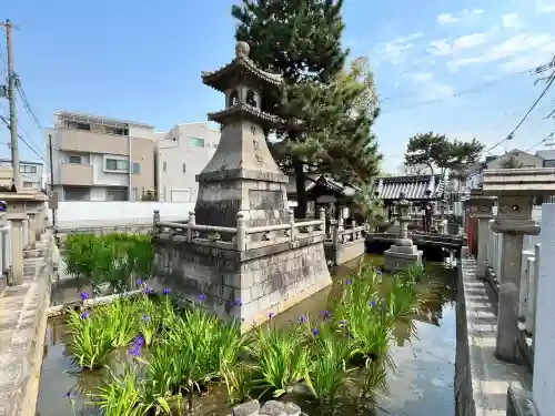 浅澤社（住吉大社境外末社）(大阪府)