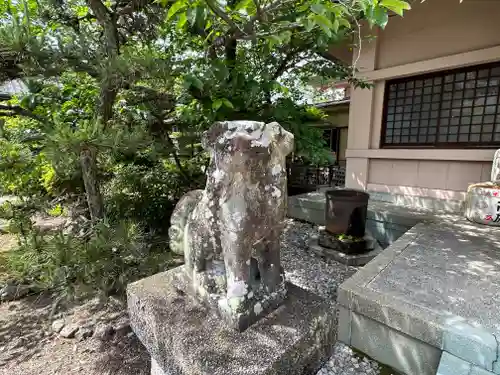 高山神社の狛犬