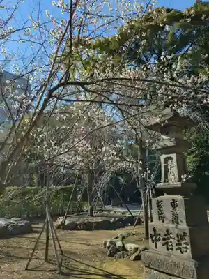 赤坂氷川神社(東京都)