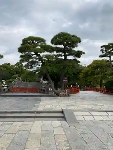 鶴岡八幡宮の庭園