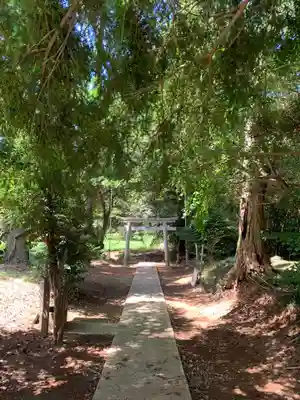 諏訪神社の鳥居