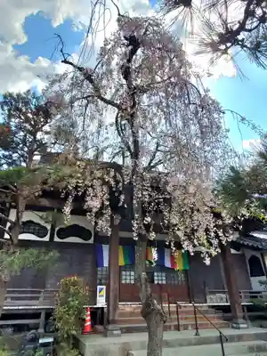阿弥陀寺(福島県)