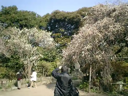 宝戒寺の景色