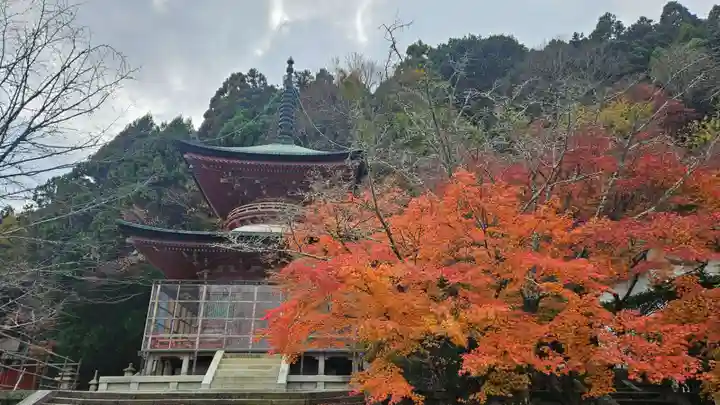 法輪寺(京都府)