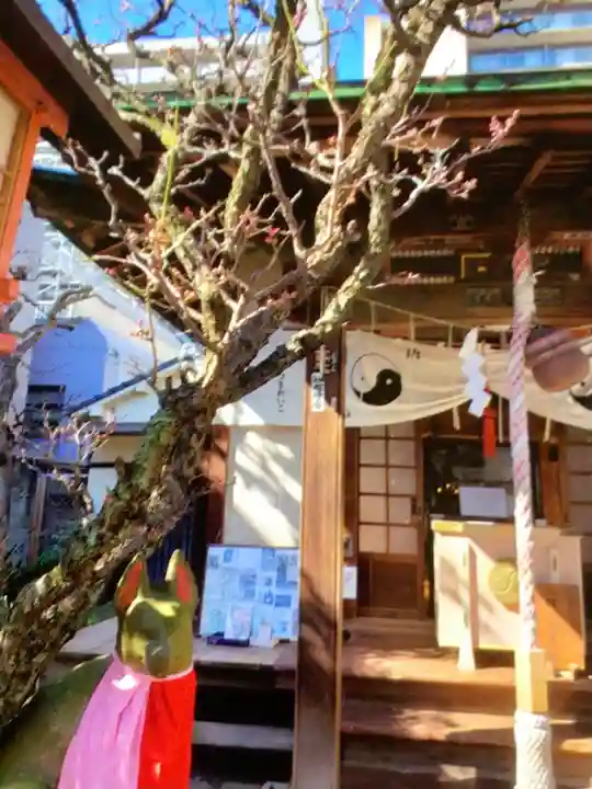 四谷於岩稲荷田宮神社(東京都)