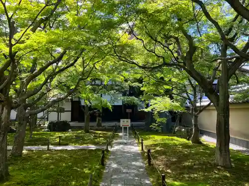 黄梅院(京都府)