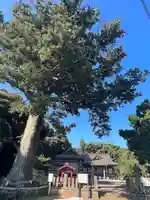 松澤 熊野神社(千葉県)