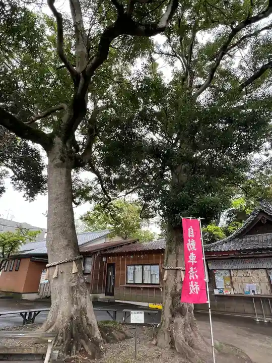 大宮・大原神社(千葉県)