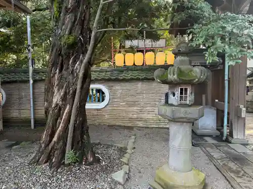 赤坂氷川神社(東京都)