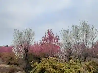伏木香取神社(茨城県)