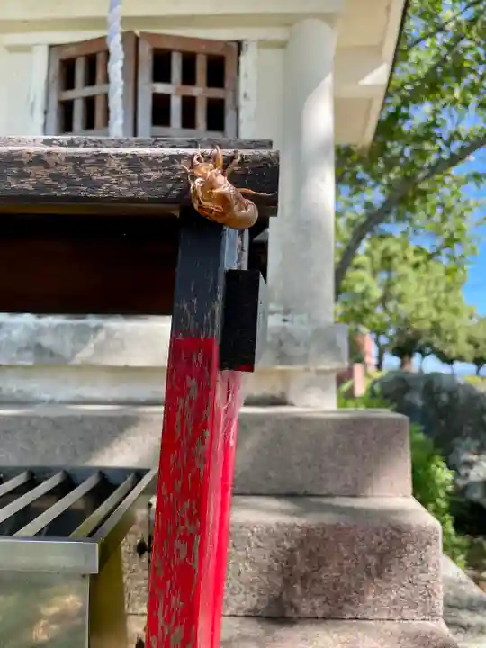 蓮華寺池弁天(静岡県)
