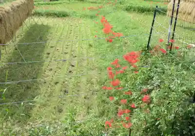 浄発願寺(神奈川県)