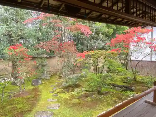 大雄院(京都府)