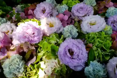 手稲神社の手水舎