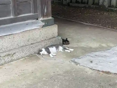 琴彈八幡宮(香川県)
