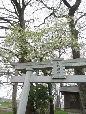 神明神社(千葉県)