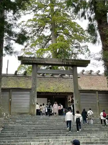 伊勢神宮内宮（皇大神宮）の{uncategorized: "未分類", other: "その他", undefined: "問題あり", building: "その他建物", grave: "お墓", sacred_gate: "鳥居", guardian: "狛犬", statue: "像", buddha: "仏像", history: "歴史", nature: "自然", garden: "庭園", animal: "動物", pagoda: "塔", temizu: "手水舎", mountain_gate: "山門・神門", sanctuary: "本殿・本堂", subordinate: "末社・摂社", art: "芸術", scenery: "景色", jizo: "地蔵", ema: "絵馬", goshuin: "御朱印", omikuji: "おみくじ", items: "授与品その他", amulet: "お守り", goshuincho: "御朱印帳", eats: "食事", festival: "お祭り", votive_dance: "神楽", shichigosan: "七五三参", wedding: "結婚式", experience: "体験その他", initially: "初詣", around: "周辺", anti_infection: "感染症対策"}