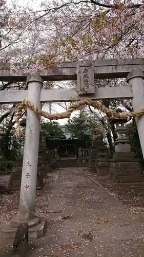 赤城神社の鳥居