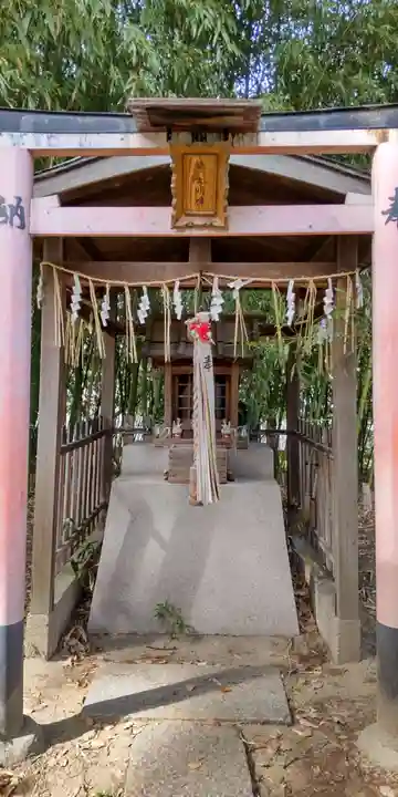蛭子島神社(京都府)
