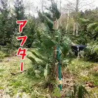 七重浜海津見神社(北海道)