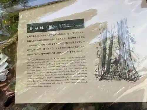 門戸厄神東光寺の歴史