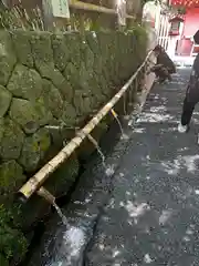 富士山本宮浅間大社(静岡県)