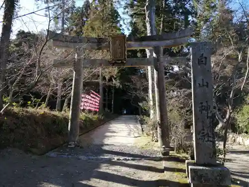 白山神社の鳥居