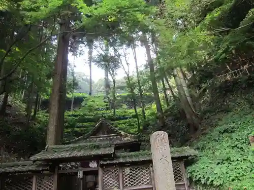 醍醐寺の自然