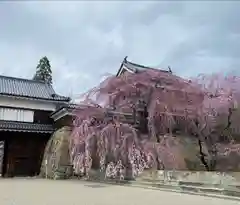 眞田神社(長野県)