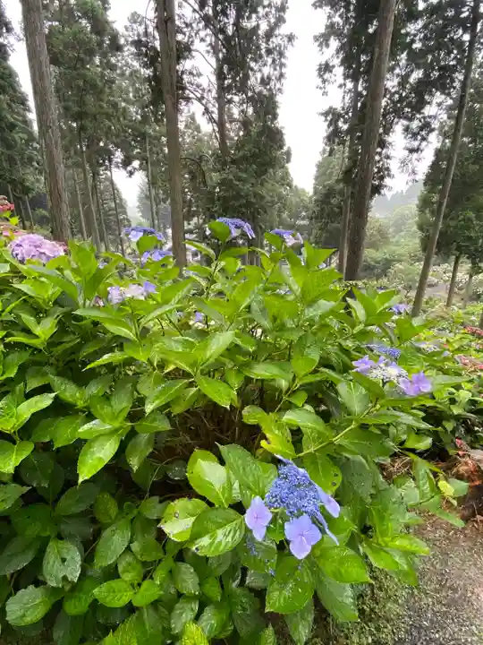 千光寺(福岡県)