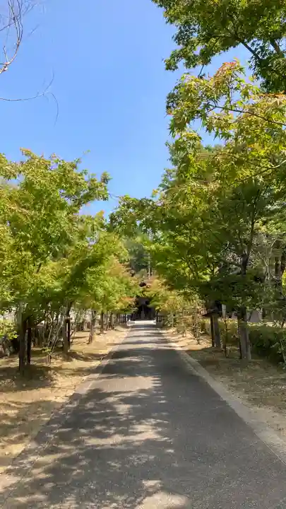 仁和寺(京都府)