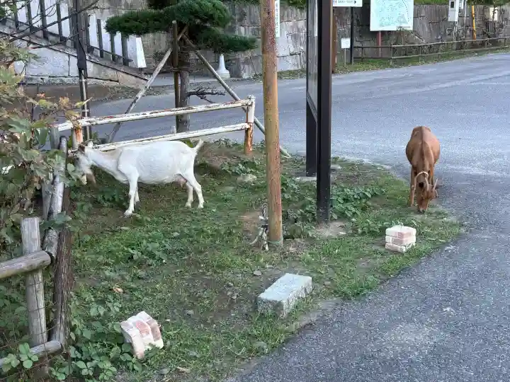 楽法寺(雨引観音)(茨城県)