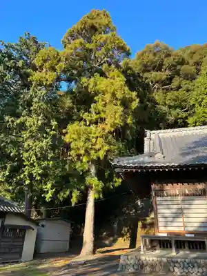 岸町浅間神社のその他建物