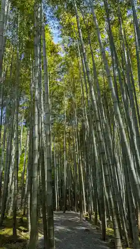 圓光寺(京都府)