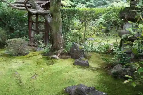 桂春院(京都府)