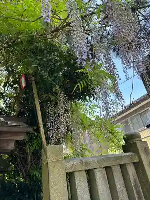 伊勢玉神社(富山県)