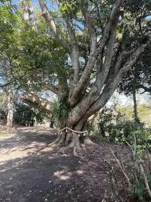 遠見岬神社(千葉県)