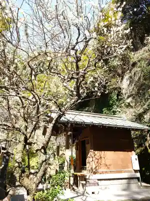 銭洗弁財天宇賀福神社の{uncategorized: "未分類", other: "その他", undefined: "問題あり", building: "その他建物", grave: "お墓", sacred_gate: "鳥居", guardian: "狛犬", statue: "像", buddha: "仏像", history: "歴史", nature: "自然", garden: "庭園", animal: "動物", pagoda: "塔", temizu: "手水舎", mountain_gate: "山門・神門", sanctuary: "本殿・本堂", subordinate: "末社・摂社", art: "芸術", scenery: "景色", jizo: "地蔵", ema: "絵馬", goshuin: "御朱印", omikuji: "おみくじ", items: "授与品その他", amulet: "お守り", goshuincho: "御朱印帳", eats: "食事", festival: "お祭り", votive_dance: "神楽", shichigosan: "七五三参", wedding: "結婚式", experience: "体験その他", initially: "初詣", around: "周辺", anti_infection: "感染症対策"}