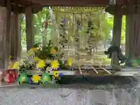 彌彦神社 (伊夜日子神社)の手水舎