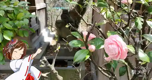 上平井天祖神社の自然