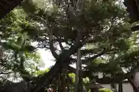 稱名寺(滋賀県)