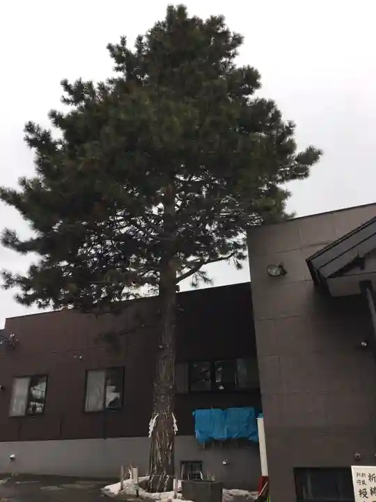 手稲神社のその他建物