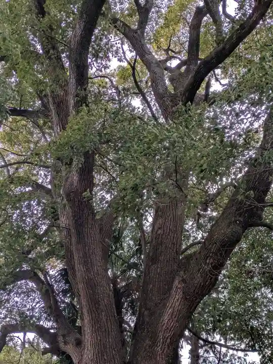 高野山真言宗 愛宕山上福院龍泉寺(三重県)