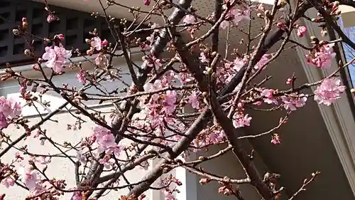 阿豆佐味天神社 立川水天宮の自然