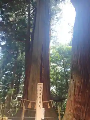 鷲子山上神社(栃木県)