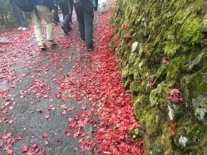 武蔵御嶽神社の自然