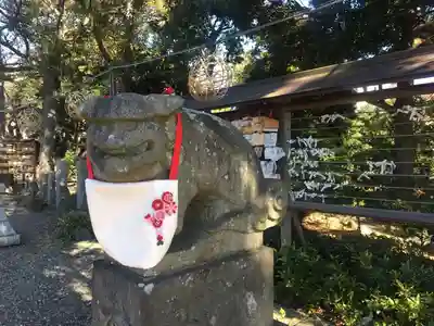 菊田神社の狛犬