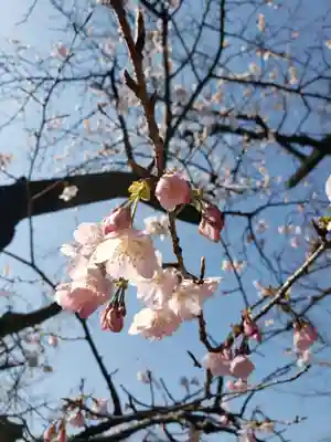 靖國神社(東京都)