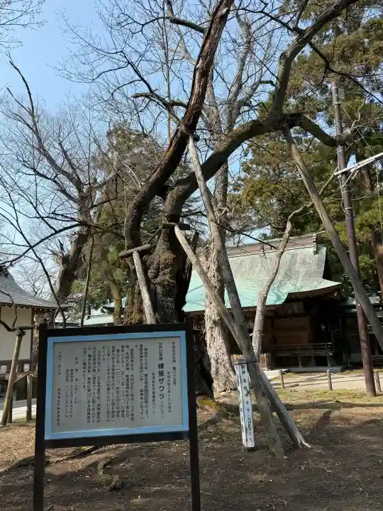 蠶養國神社の{uncategorized: "未分類", other: "その他", undefined: "問題あり", building: "その他建物", grave: "お墓", sacred_gate: "鳥居", guardian: "狛犬", statue: "像", buddha: "仏像", history: "歴史", nature: "自然", garden: "庭園", animal: "動物", pagoda: "塔", temizu: "手水舎", mountain_gate: "山門・神門", sanctuary: "本殿・本堂", subordinate: "末社・摂社", art: "芸術", scenery: "景色", jizo: "地蔵", ema: "絵馬", goshuin: "御朱印", omikuji: "おみくじ", items: "授与品その他", amulet: "お守り", goshuincho: "御朱印帳", eats: "食事", festival: "お祭り", votive_dance: "神楽", shichigosan: "七五三参", wedding: "結婚式", experience: "体験その他", initially: "初詣", around: "周辺", anti_infection: "感染症対策"}