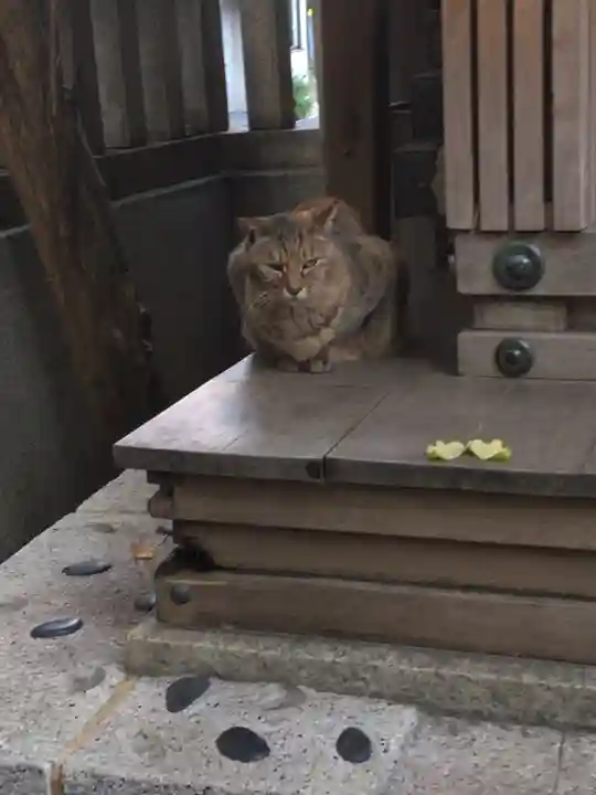 小野照崎神社(東京都)
